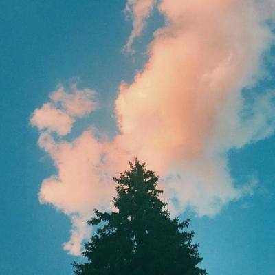 百人牛牛游戏软件截图